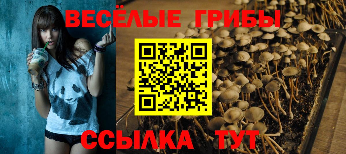 Псилоцибиновые грибы ЛСД  Вход с VPN  Кондопога  Псилоцибиновые грибы прущие грибы 