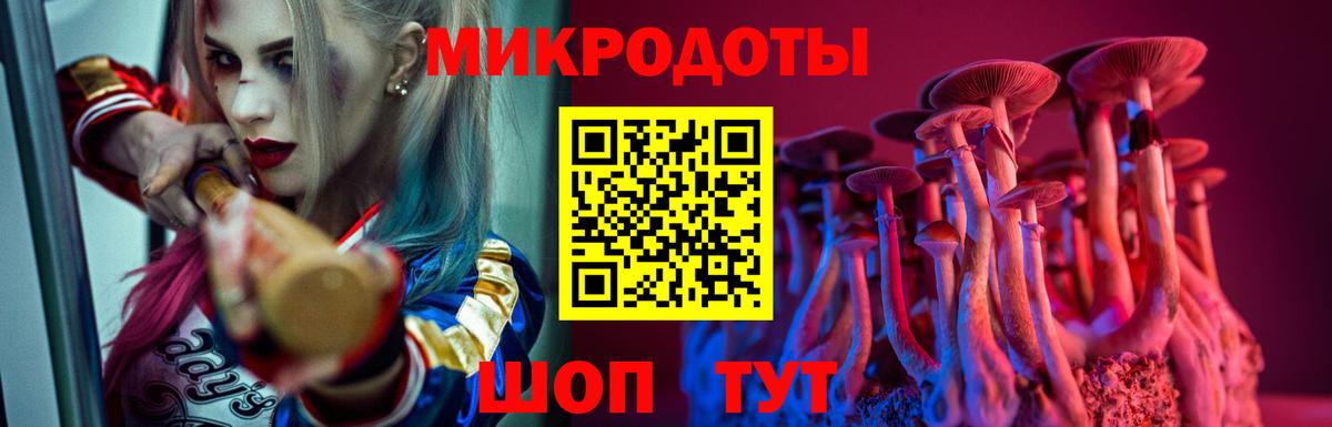 Галлюциногенные грибы мицелий Кондопога