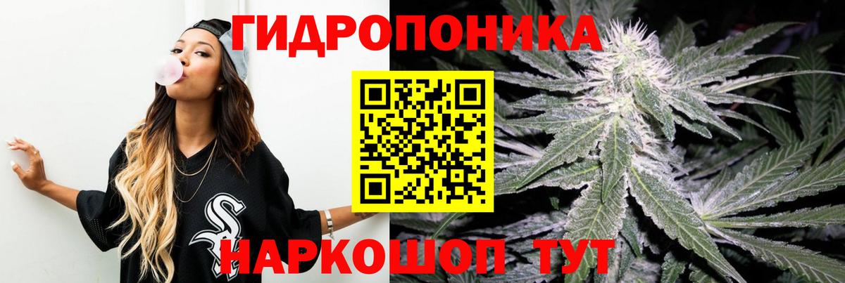 Бошки Шишки VHQ Кондопога